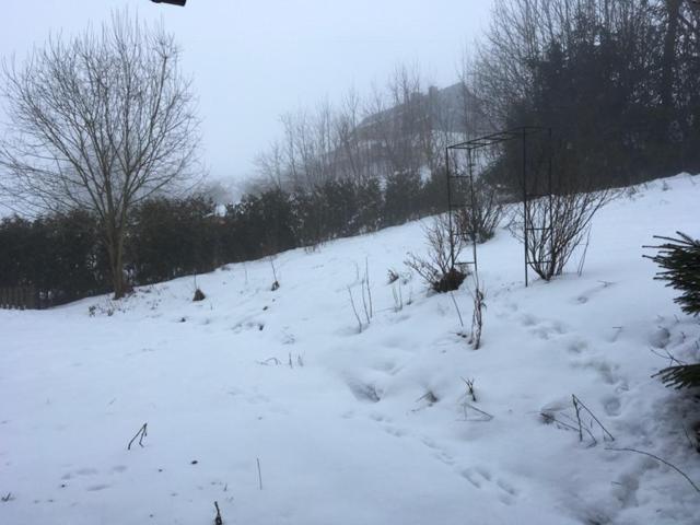 할렌버그 Haus Nova Am Bollerberg B&B 외부 사진