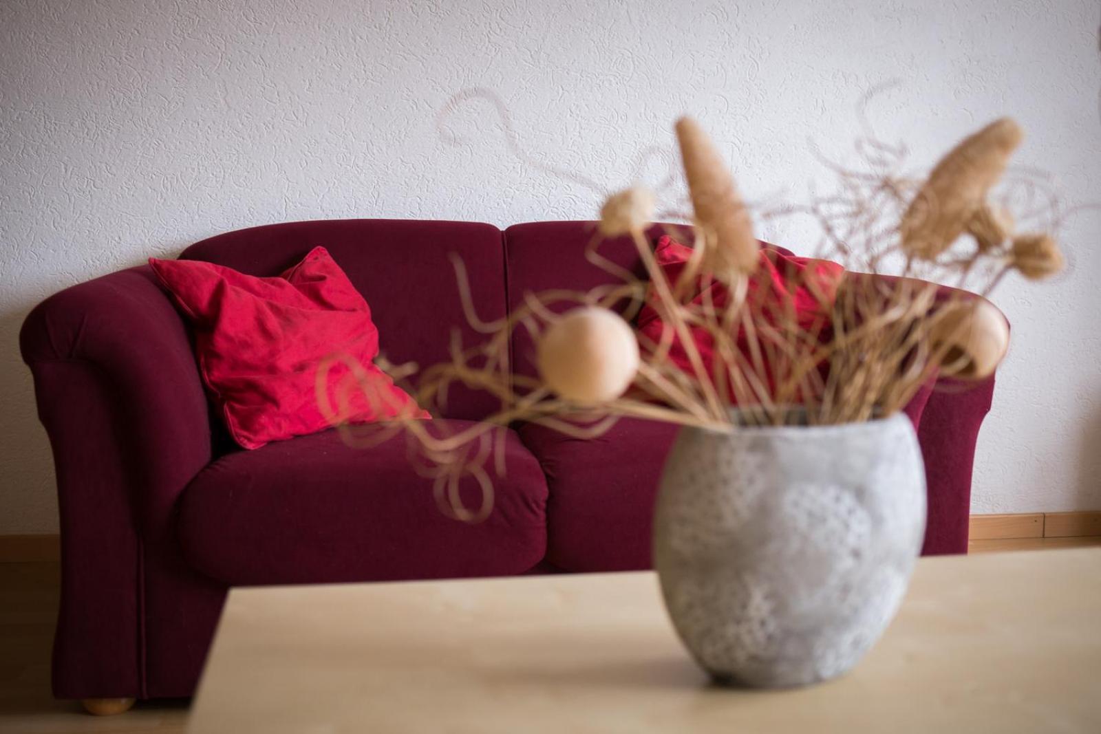 할렌버그 Haus Nova Am Bollerberg B&B 외부 사진