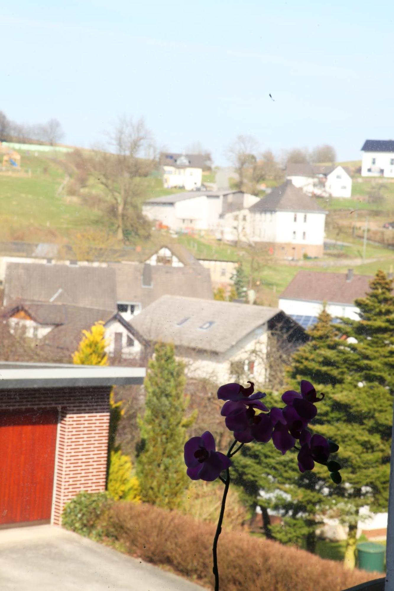 할렌버그 Haus Nova Am Bollerberg B&B 외부 사진